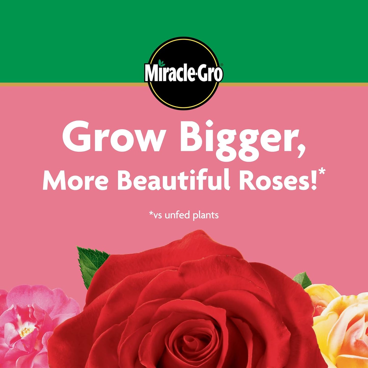 Miracle-Gro Rose Plant Food - Water Soluble Formula for Vibrant Blooms | 1.5 lb