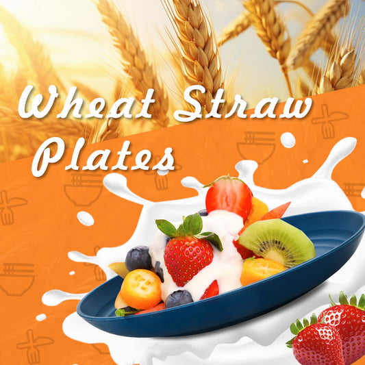 Lazycorner Dinner Plates Unbreakable Wheat Straw Plates Kids Plate Set of 12 Alternative for Plastic Plates Reusable Plate for Kitchen Dishwasher Safe (10 Inches-4 Colors)