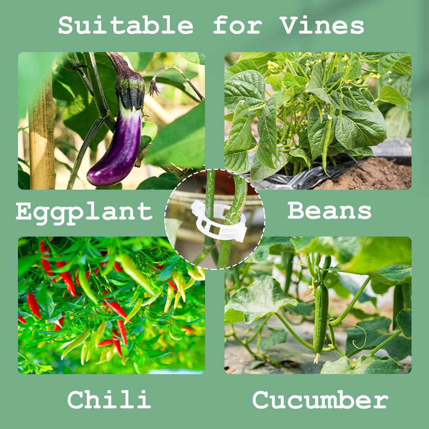 Skiennix Plant Support Clips - 300 PCS Garden Trellis Clips for Healthy Upright Growth of Vines, Vegetables, and Fruits