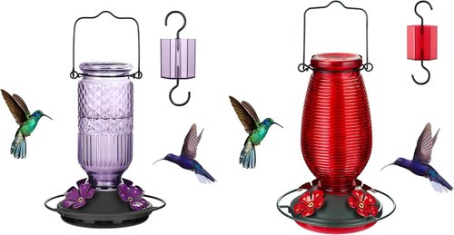 FEED GARDEN Glass Hummingbird Feeder - 16 Oz Purple & 20 Oz Red | Durable & Stylish Design
