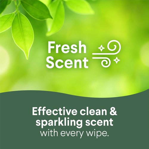 Clorox Disinfecting Cleaning Wipes - Bleach-Free Fresh Scent & Crisp Lemon | 75 Count, Pack of 3