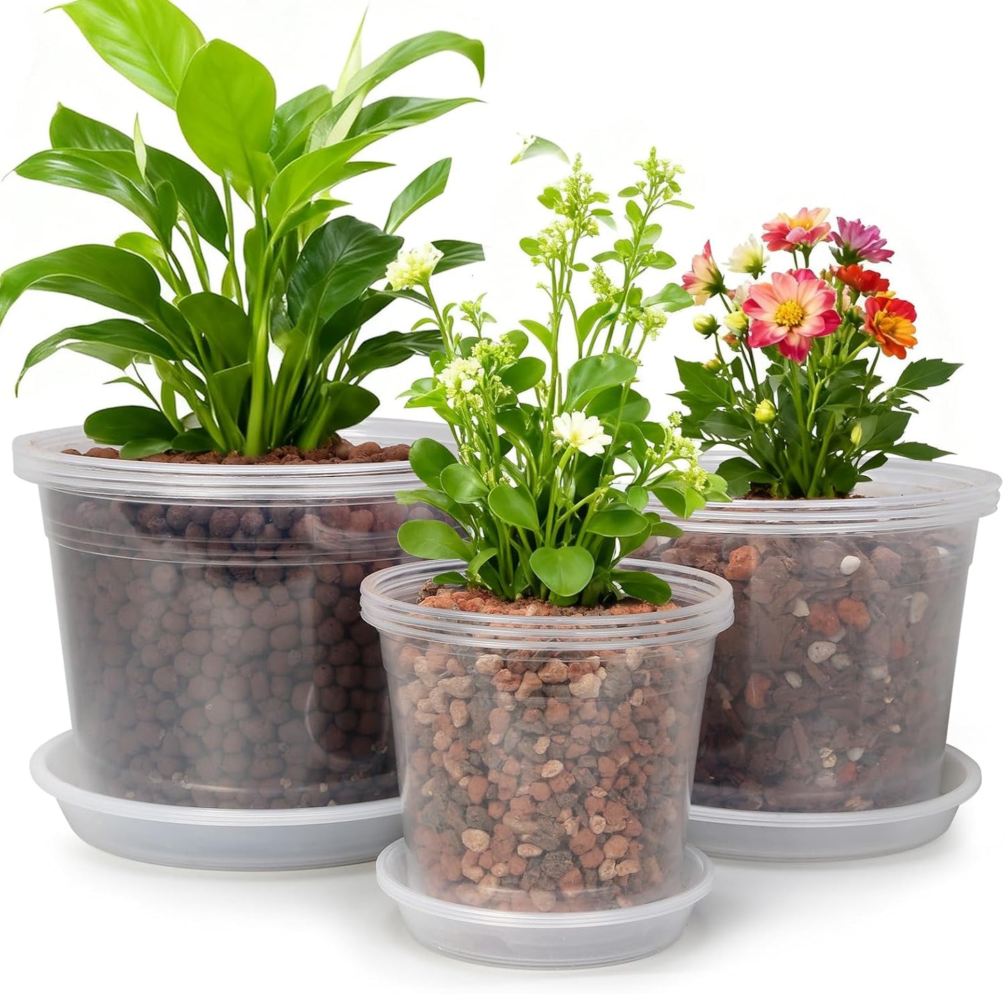 Skiennix Clear Nursery Pots - Large Size with Drainage & Saucers | 9 Pack Plastic Plant Pots for Seedlings