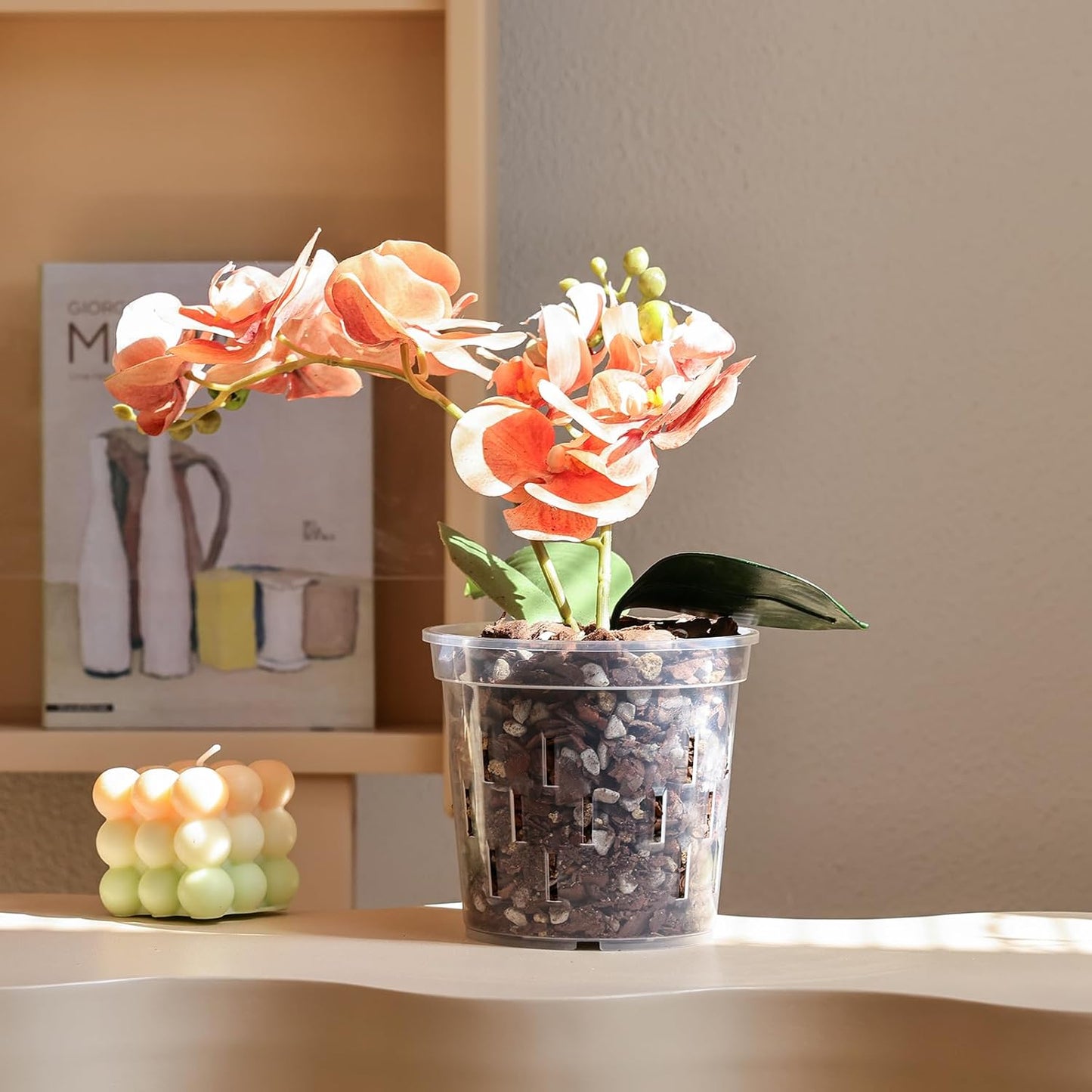 TRUEDAYS Orchid Pots - 5 Inch Clear Pots with Drainage Holes | 4 Pack for Healthy Root Growth