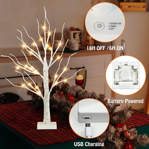 EAMBRITE Lighted Birch Tree - 24 LED Mini Tabletop Easter Decorations | 2FT Battery Operated White Trees
