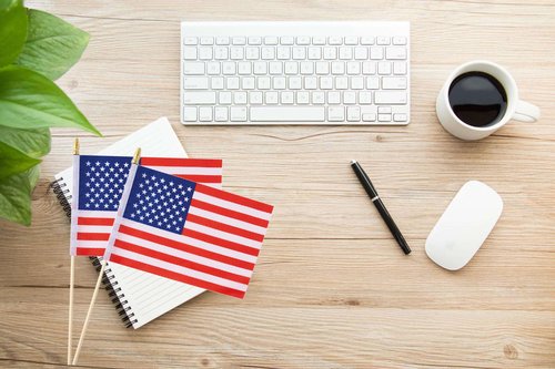 Ckexin 25Pack Small American Flag Mini Usa Flag On Stick Handheld Us Flag For July 4th Decoration