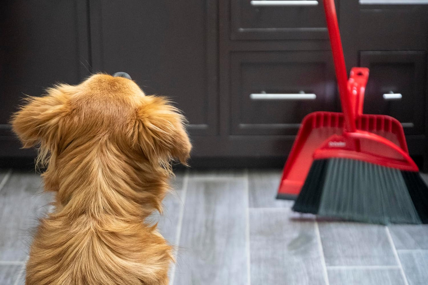 O-Cedar Pet Pro Broom - Step-On Dustpan for Effortless Cleaning | Removes 99% Pet Hair | Ideal for Cat & Dog Owners