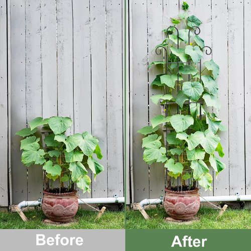 Coomin Monstera Plant Support Stakes - 32.6in Metal Trellis for Climbing Plants | 2-Pack for Garden & Potted Use