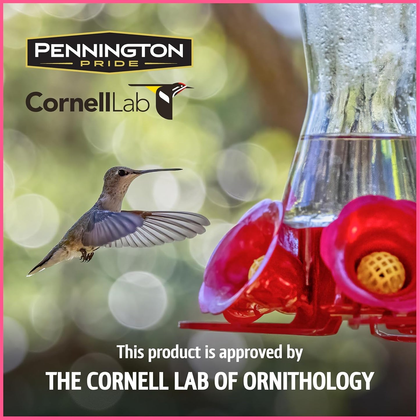Pennington Hummingbird Nectar - Ready to Use, Naturally Colored with Electrolytes | 64 oz Bottle