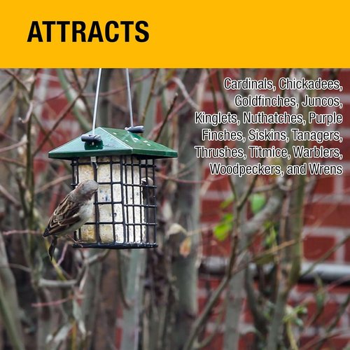 Heath Outdoor Products Bird Suet Cakes Sample Pack - 3 Delicious Cakes for Woodpeckers, Cardinals & More