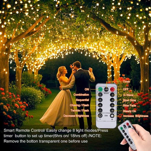 Ehome String Lights, USB Fairy Lights Plug in with Remote & Timer 33 ft 100 LED Twinkle String Lights Silver Wire Lights 8 Modes Outdoor Indoor Waterproof Starry Lights DIY Party Wedding, Warm White