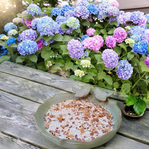 Ceramic Bird Bath - 9.45-Inch Outdoor Bird Bath Bowl for Garden, Deck, and Lawn Use