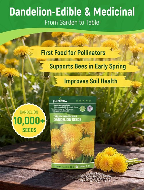 Dandelion Seeds - 4,000+ Heirloom Edible Seeds for Medicinal Gardens | Non-GMO & Pollinator-Friendly