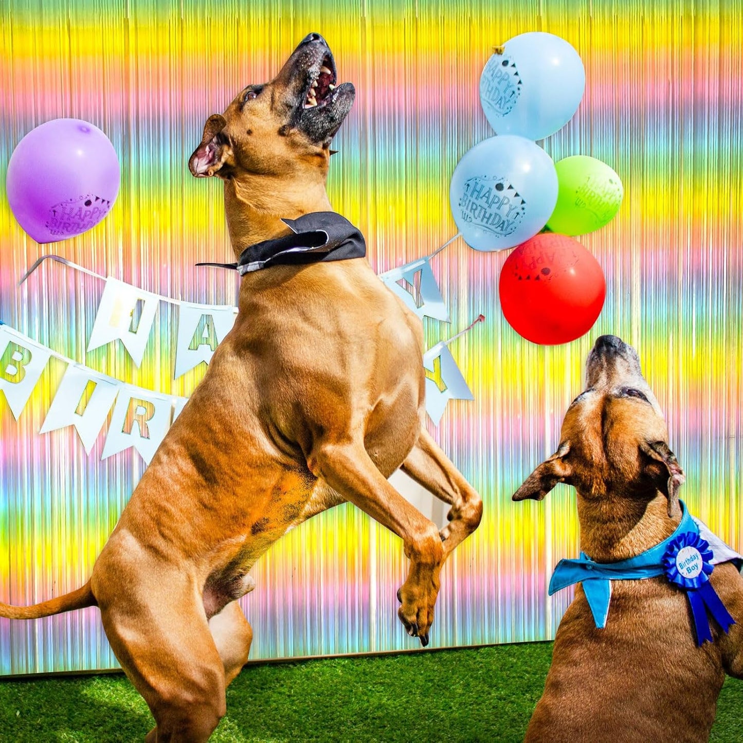 Pastel Rainbow Foil Fringe Curtain - Vibrant Backdrop for Birthday Party Decorations | Tinsel Streamers