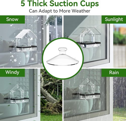 DY-SKTY Clear Window Bird Feeder - Sturdy Acrylic Design with 5 Strong Suction Cups | Perfect for Bird Watching and Garden Decor