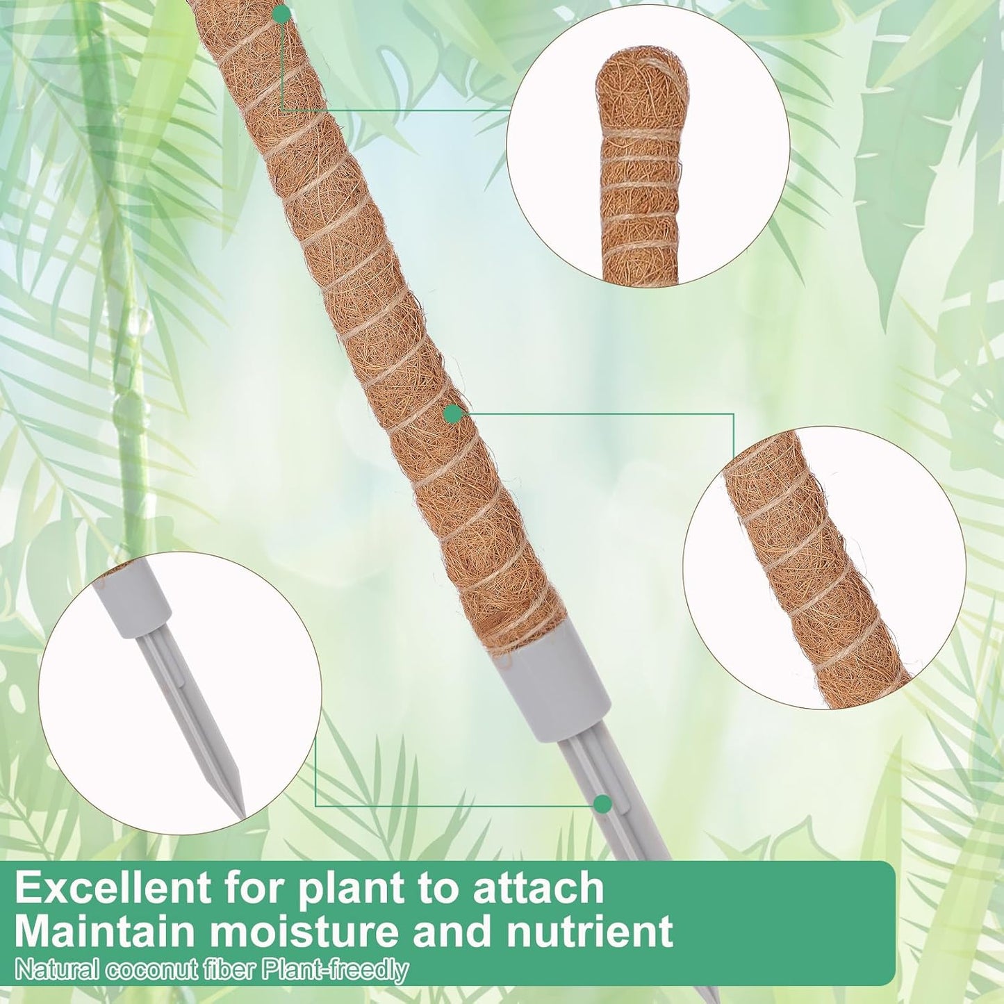 Moss Pole 3-Pack by [Brand Name] - 50 Inch Tall Support for Monstera & Climbing Plants | Coco Coir Stake Kit