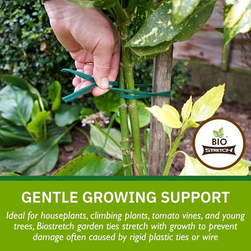 Bio-Stretch Garden Plant Ties - Strong, Stretchy Cut-to-Length Tape for Climbing Plants | 65 ft (20M)