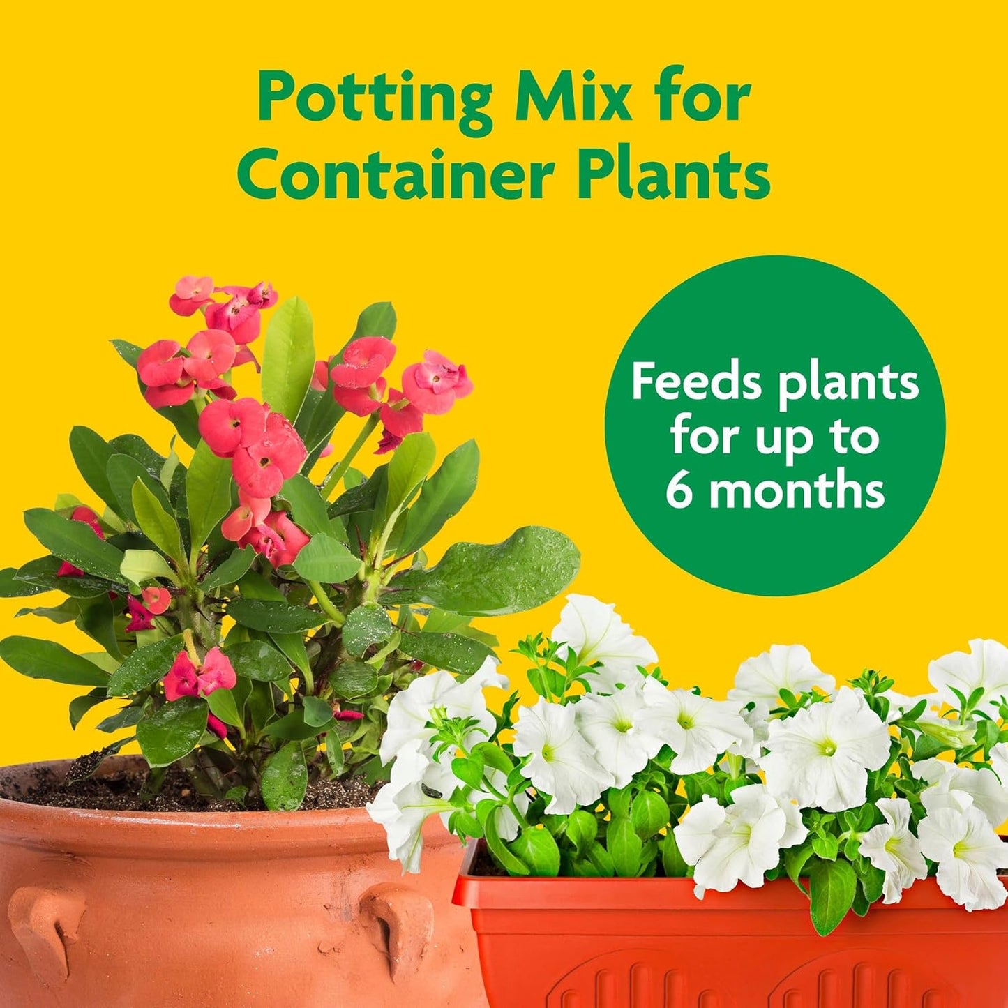 Miracle-Gro Potting Mix - Nutrient-Rich Soil for Container Plants & Flowers | 8 Qt (2-Pack)