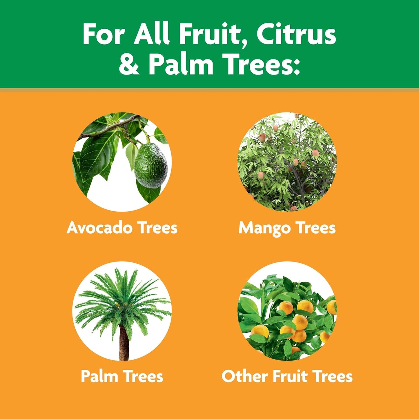 Miracle-Gro Fruit & Citrus Plant Food Spikes - Easy-To-Use Fertilizer for Healthy Trees | 12 Spikes, 3 lb.