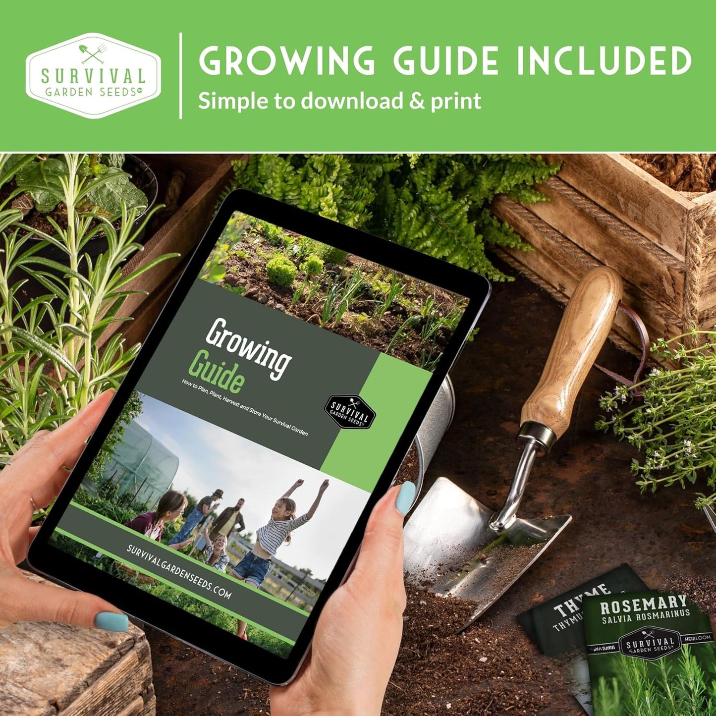 Survival Garden Seeds - Zucchini & Squash Collection | Non-GMO Heirloom Seeds Assortment
