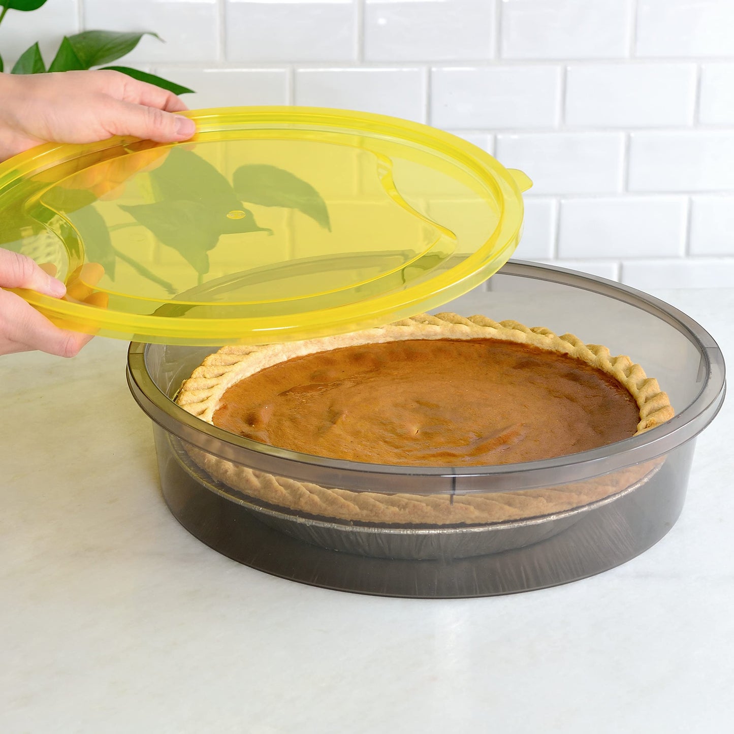 Youngever 3 Pack Pie Containers, Plastic Food Storage Containers, Fresh Pie Keeper, 11 inch Diameter