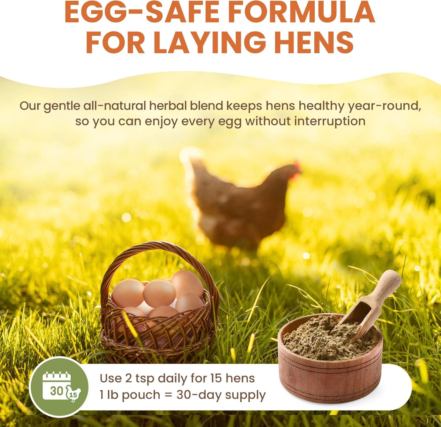 Natural Chicken Dewormer Chili Mix Powder - Herbal Poultry Wormer & Parasite Support for Laying Hens | 1 lb Bag