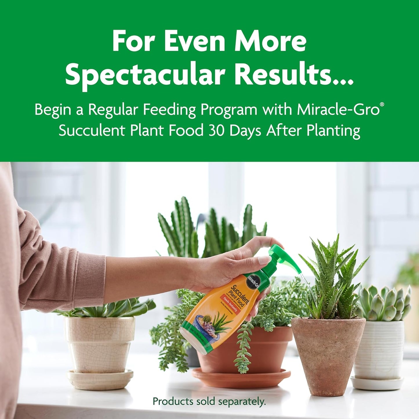 Miracle-Gro Cactus, Palm & Citrus Potting Mix - Ideal for Indoor/Outdoor Plants, 8 Qt, 2-Pack