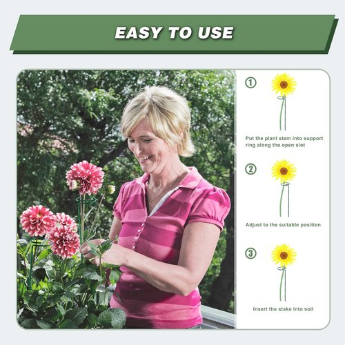 Joyhalo 16-Inch Plant Support Stakes - 12 Pack with 24 Twist Ties for Peonies, Tomatoes & More