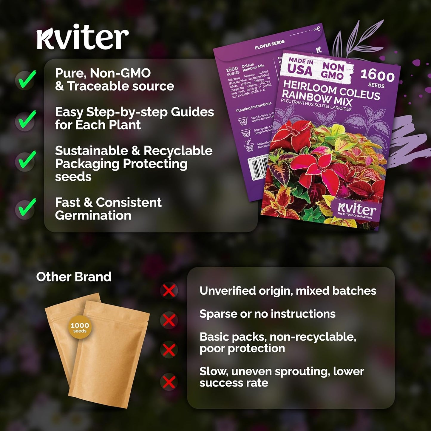 KVITER Rainbow Coleus Seeds - Non-GMO Heirloom Garden Seed Packets for Indoor/Outdoor Planting | 1600 Count