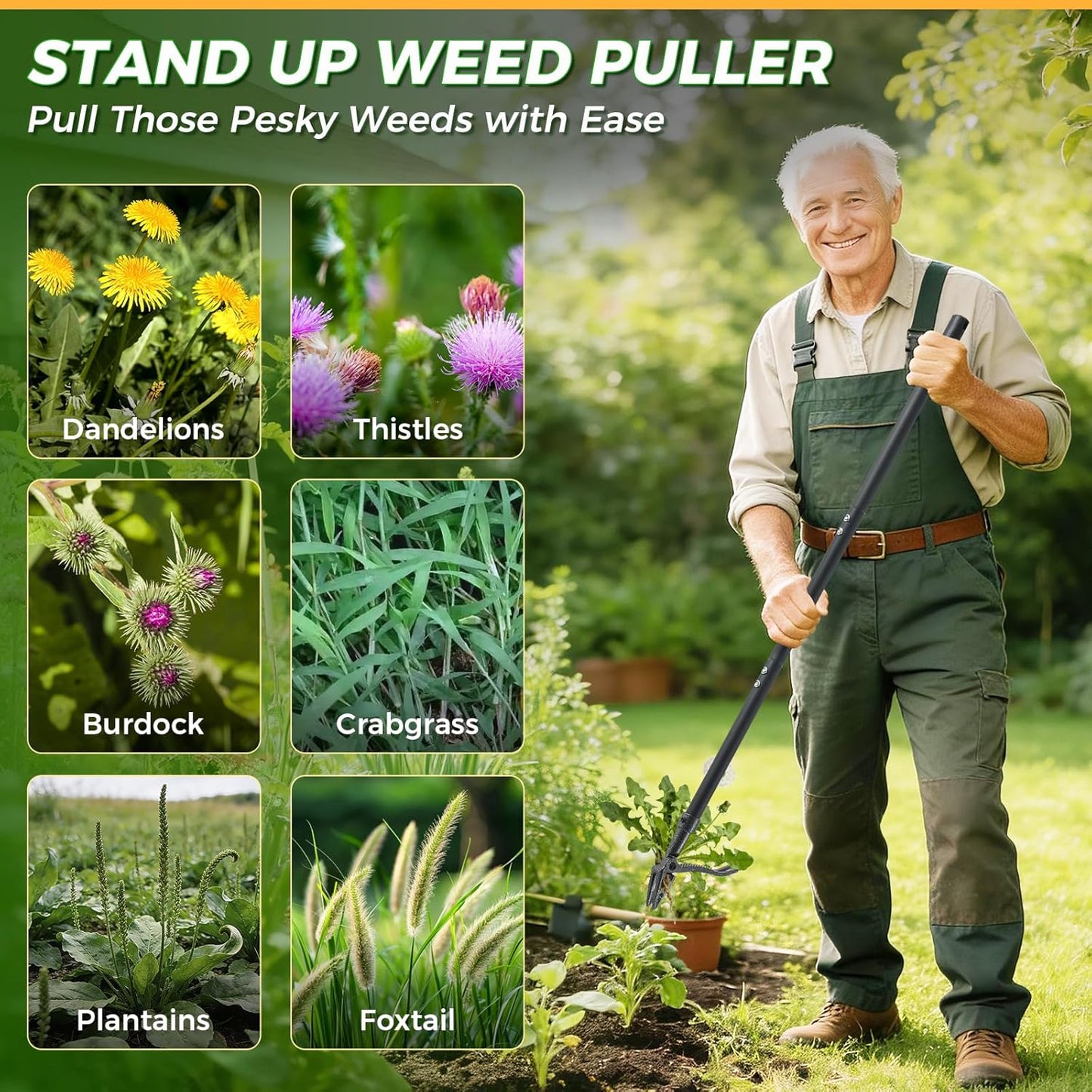 Stand Up Weed Puller by [Brand Name] - 46" Adjustable Steel Handle & 4-Claw Head for Effortless Weeding