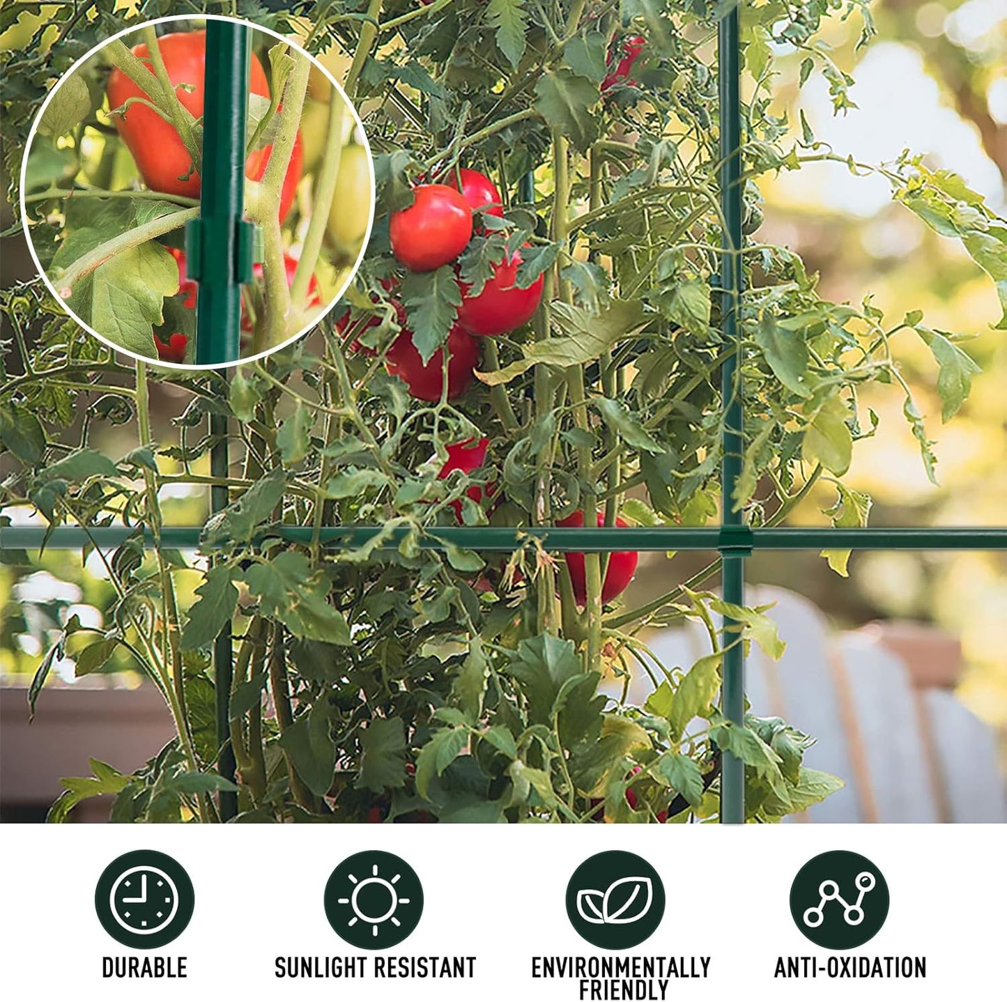 MAXPACE Garden Stakes Kit - 62-Piece Fiberglass Plant Support Set for Tomatoes & Vegetables | DIY 4ft-7ft