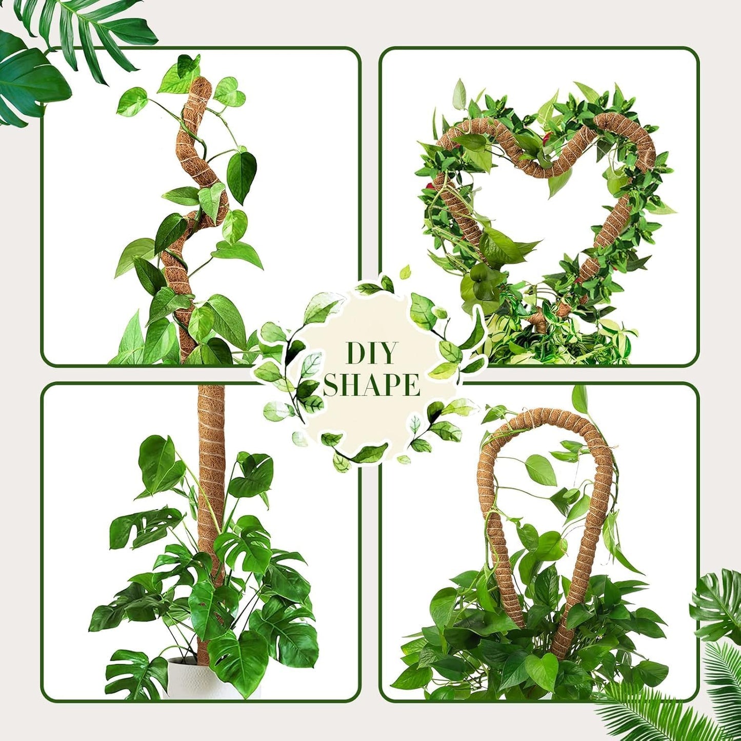 Skiennix 2-Pack 63" Bendable Moss Poles - Ideal Support for Monstera & Climbing Plants