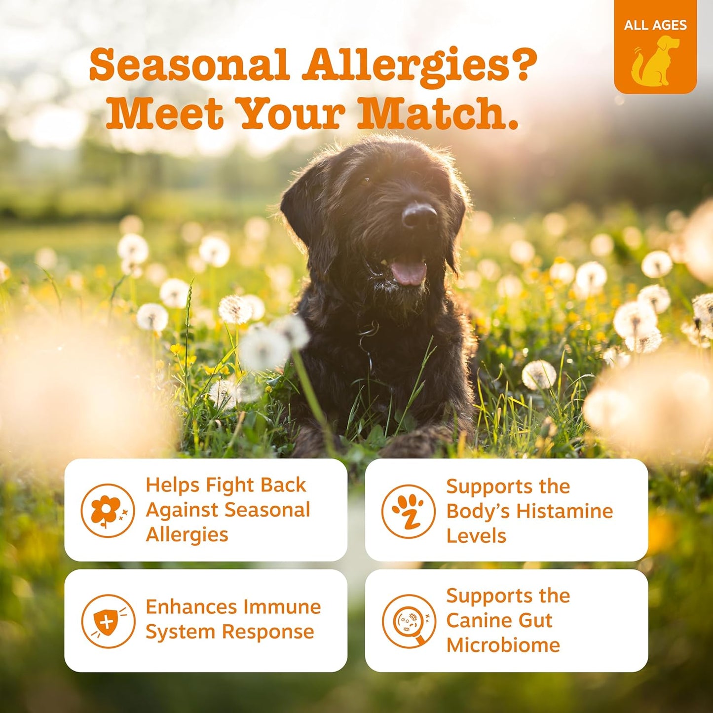 Zesty Paws Allergy Immune Bites - Dog Allergy Chews for Itchy Skin & Ears | Lamb Flavor, 90ct