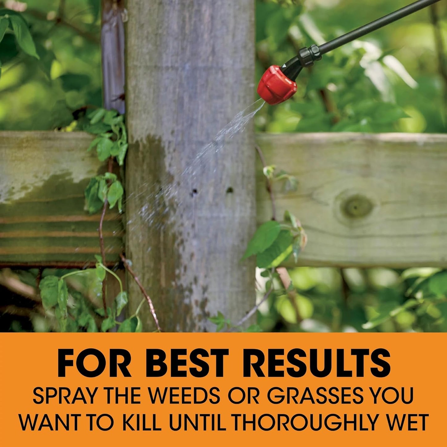 Roundup Poison Ivy Plus Tough Brush Killer - Fast-Acting Concentrate, 32 fl. oz. for Quick Results