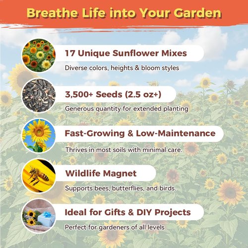 Giant Mammoth Sunflower Seeds - 3000+ Heirloom Seeds for Home Garden | High Germination & Pollinator Friendly