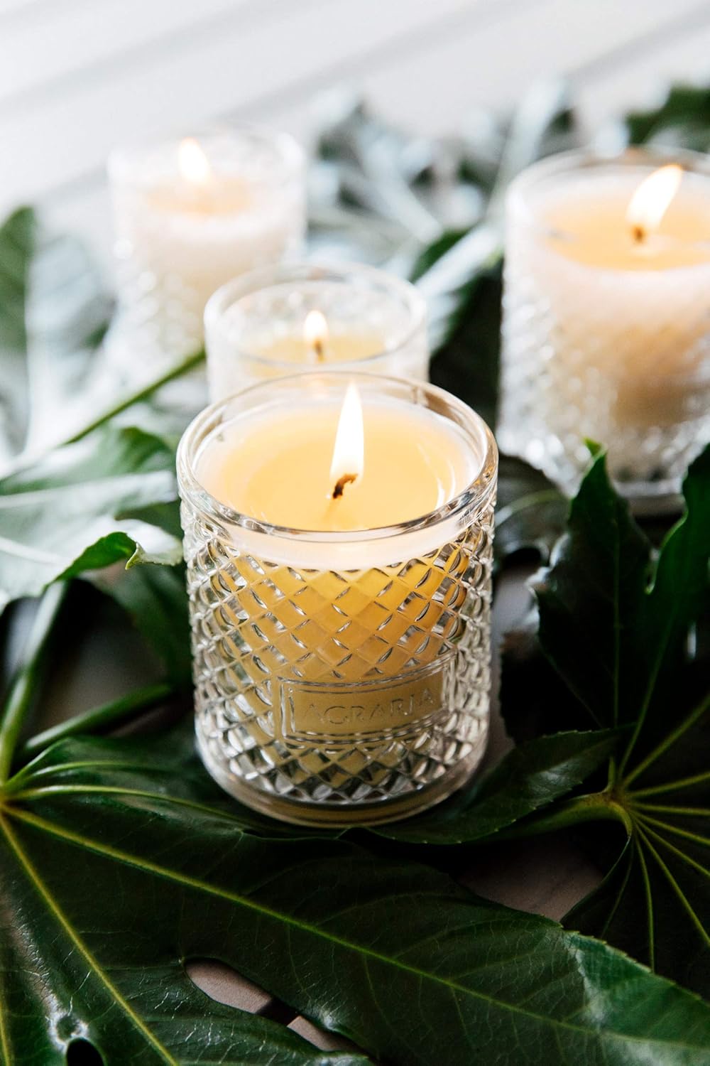 AGRARIA Scented Candles, 7 Oz, Long-Lasting Scented Candles for Home, Elegant Home Fragrance Gifts for Men and Women