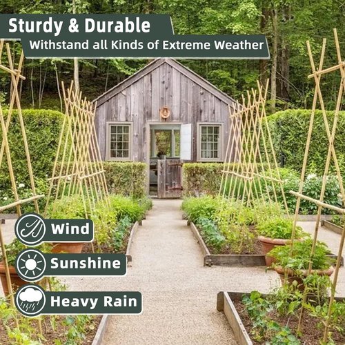Bamboo Plant Stakes - 50 Pcs 18-Inch Support Sticks for Indoor/Outdoor Plants | Ideal for Tomatoes, Vegetables, and Climbing Plants