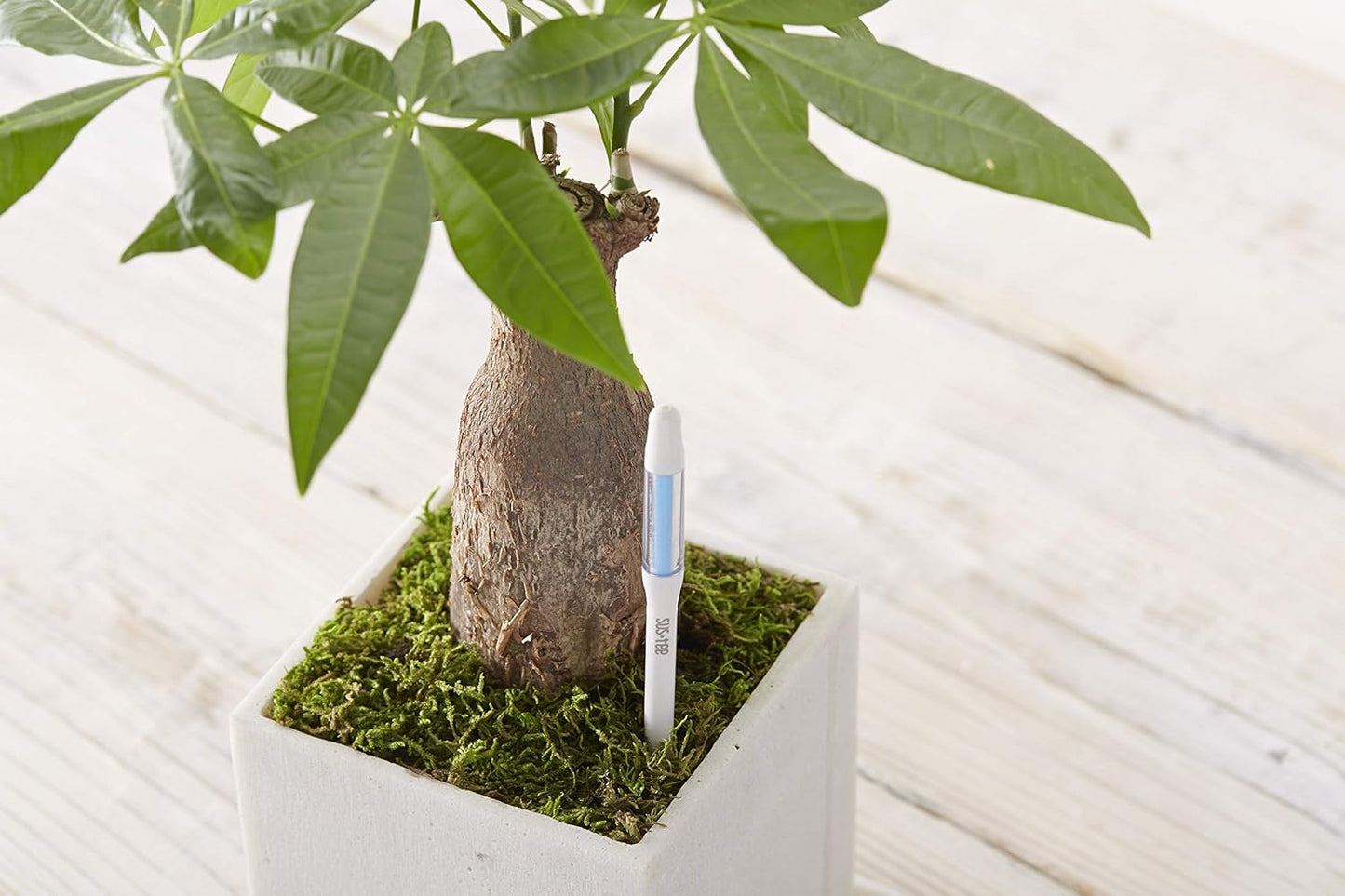 Sustee Aquameter | Set of 5 Plant Soil Moisture Sensors - Small Green Design for Optimal Care