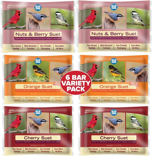 Blue Seal Berry Blend Suet Cakes for Wild Birds - No Mess Feed for Woodpeckers & Cardinals - 11oz Variety Pack of 6