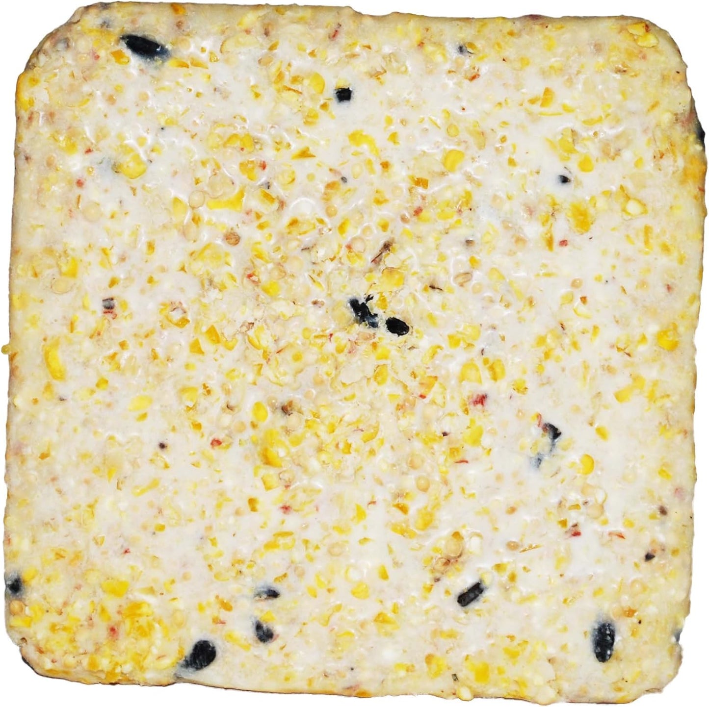 St. Albans Bay Suet Plus Wild Bird Suet Cakes - High Energy Variety Pack, 11 oz | 10 Pack