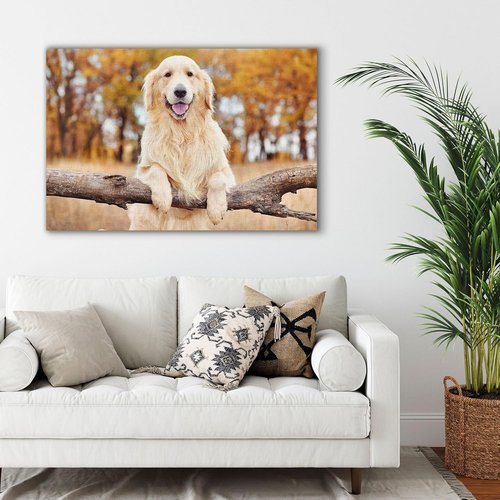 Custom Canvas Prints - Personalized Photo Wall Art for Family, Pets & Couples | Framed 20x16