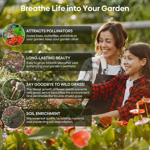 Groundio Wildflower Seeds - 100,000+ Bulk Seeds | 26 Variety Mix to Attract Pollinators - 1/4 lb