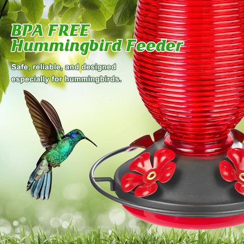 FEED GARDEN Glass Hummingbird Feeder - 20 OZ Capacity with 4 Bee Guards & Ant Moat | Red, 1 Pack