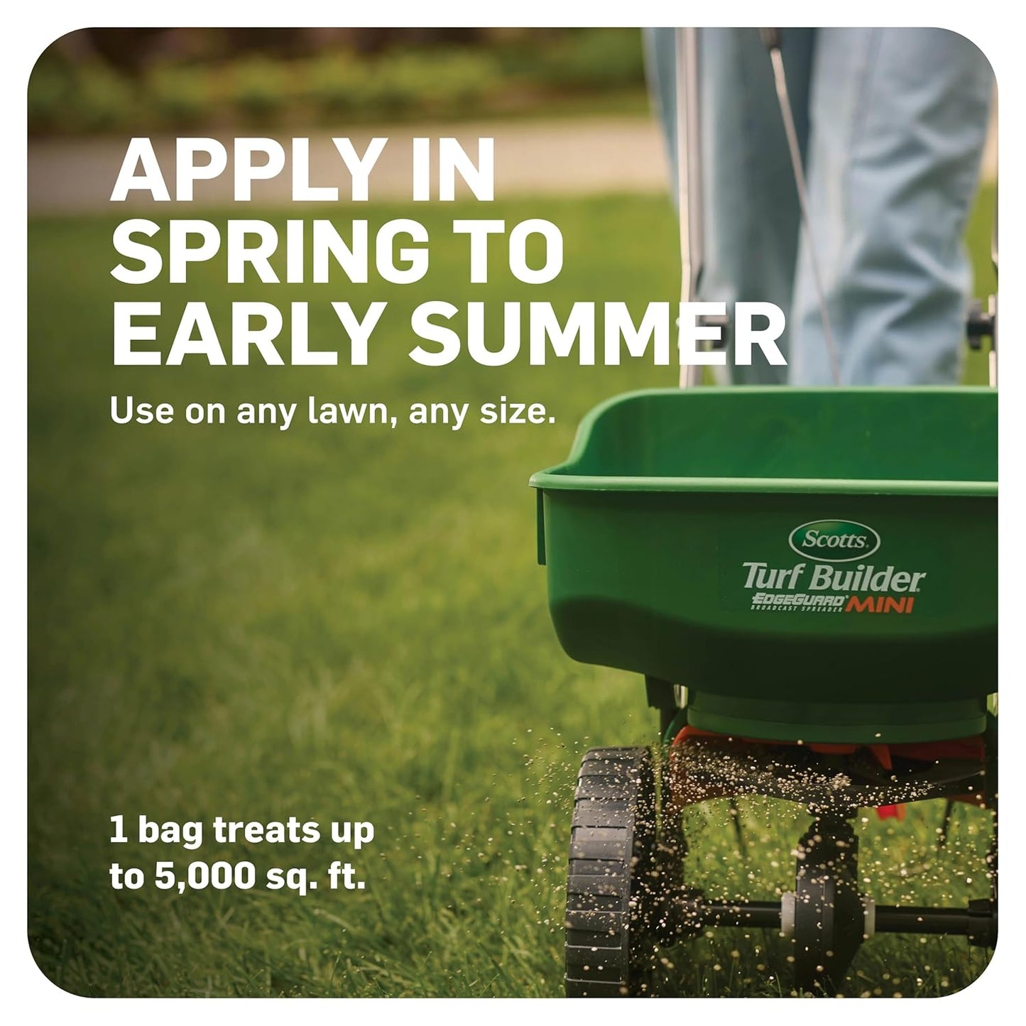 Scotts GrubEx - Season-Long Grub Killer for Lawns - Covers 5,000 Sq. Ft.