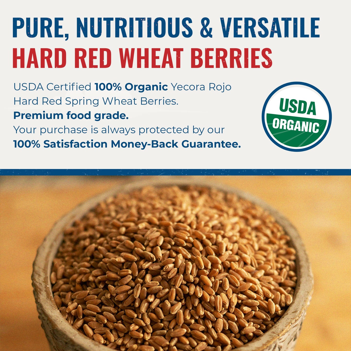 Yecora Rojo Hard Red Wheat Berries by Grand Teton Organic Wheat | Organic Hard Red Spring Wheat Berries for Baking Whole Grain Breads or Milling Into Flour | Non-GMO, (15 Pounds)