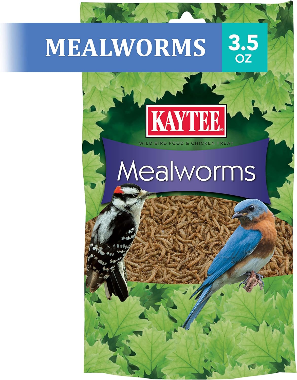 Kaytee Wild Bird Food - Mealworms for Bluebirds, Wrens, Robins & More | 3.5 Ounce Pack