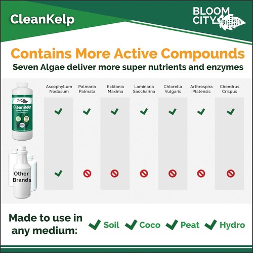 Bloom City Seaweed & Kelp Fertilizer - Liquid Supplement for Stronger Roots & Faster Growth | 8 oz