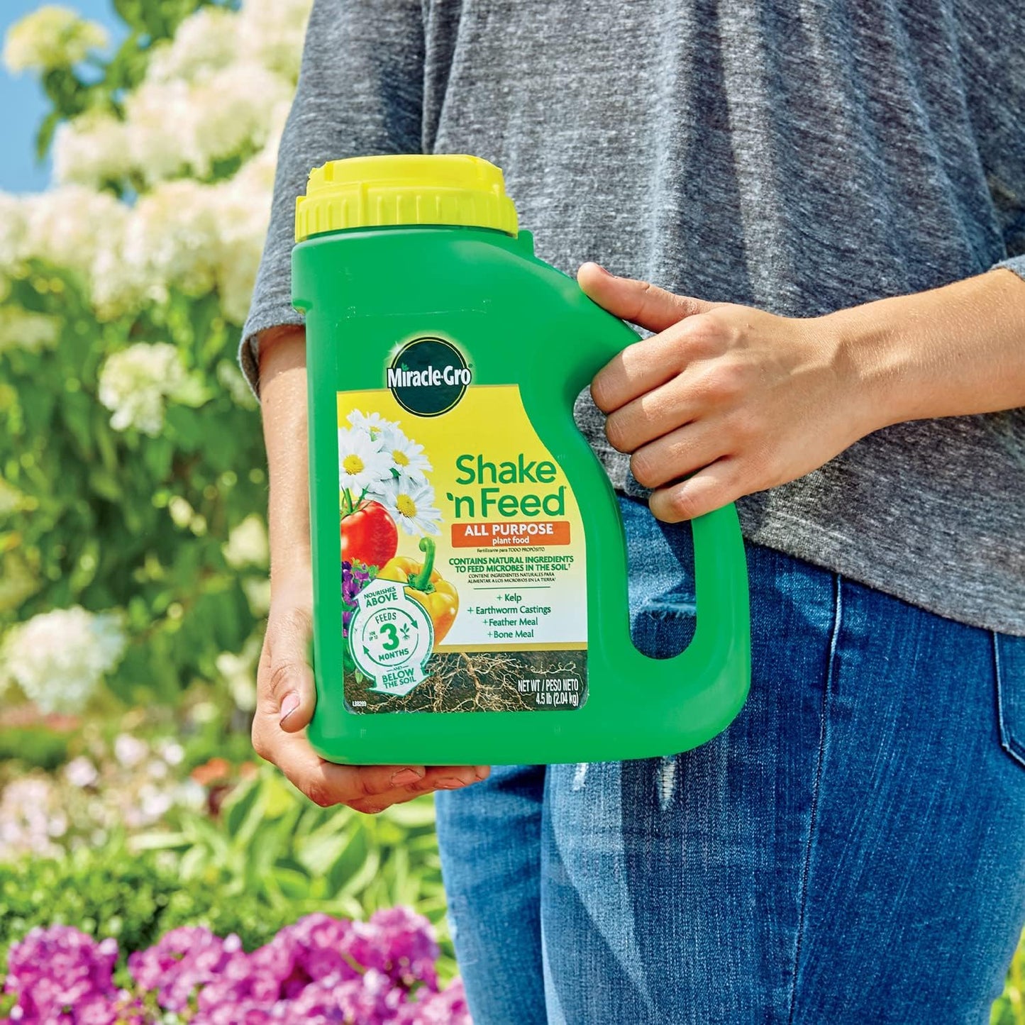 Miracle-Gro All Purpose Plant Food - Feeds Indoor & Outdoor Plants for 3 Months, 4.5 lbs (Pack of 6)