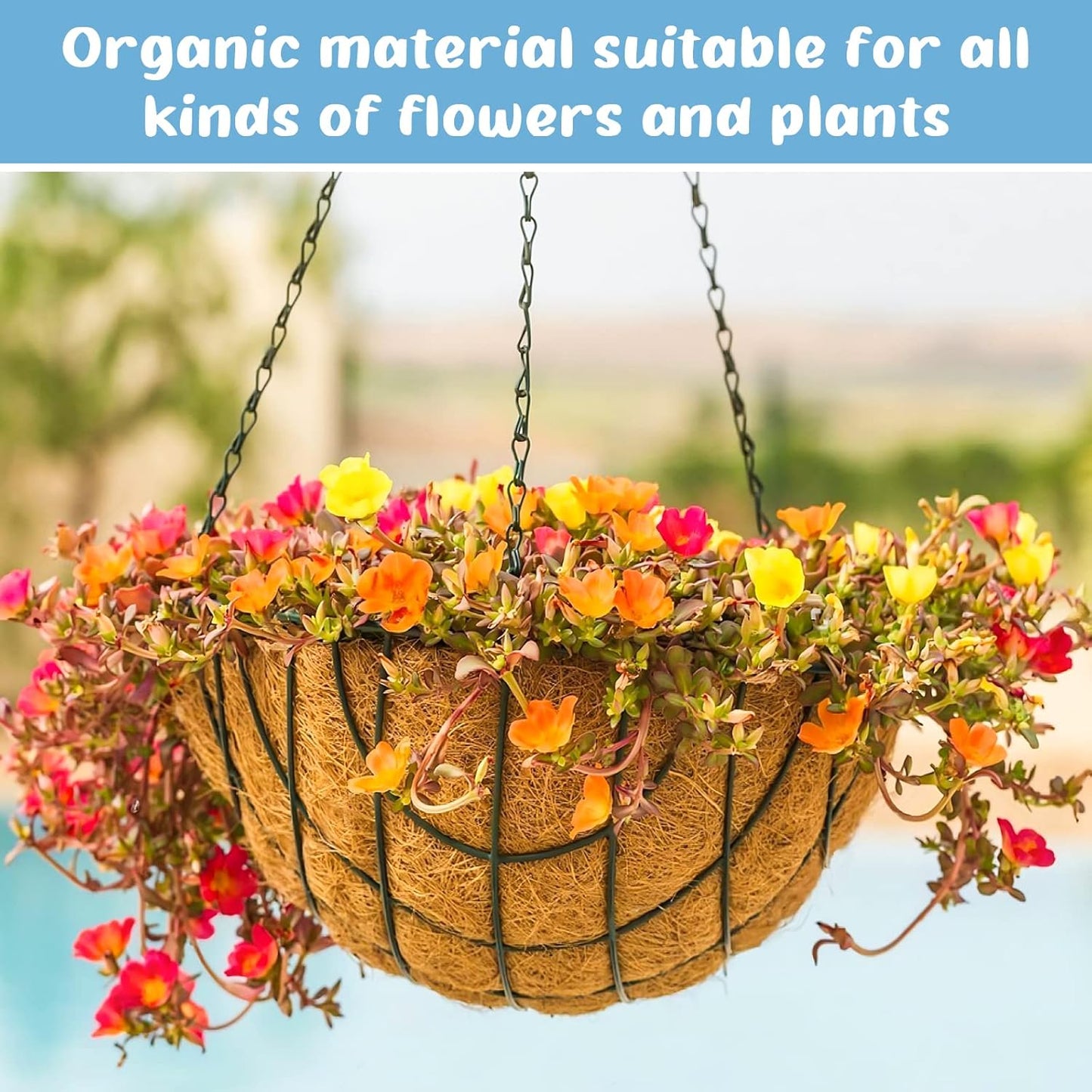 Legigo 3 Pack Coco Liners - 100% Natural 8 Inch Round Coconut Fiber Replacement for Hanging Baskets