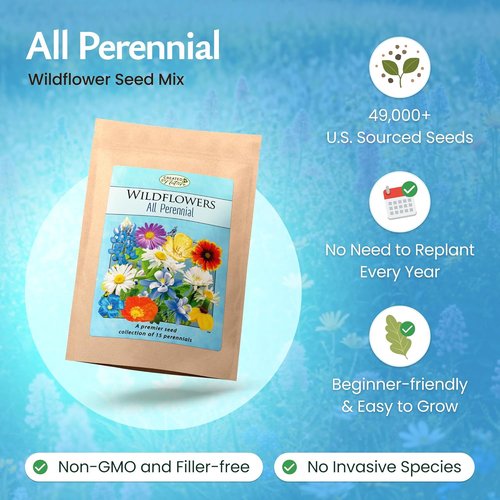 Created By Nature Perennial Flower Seeds - 15 Varieties | 49,000 Wildflower Seeds for Vibrant Gardens