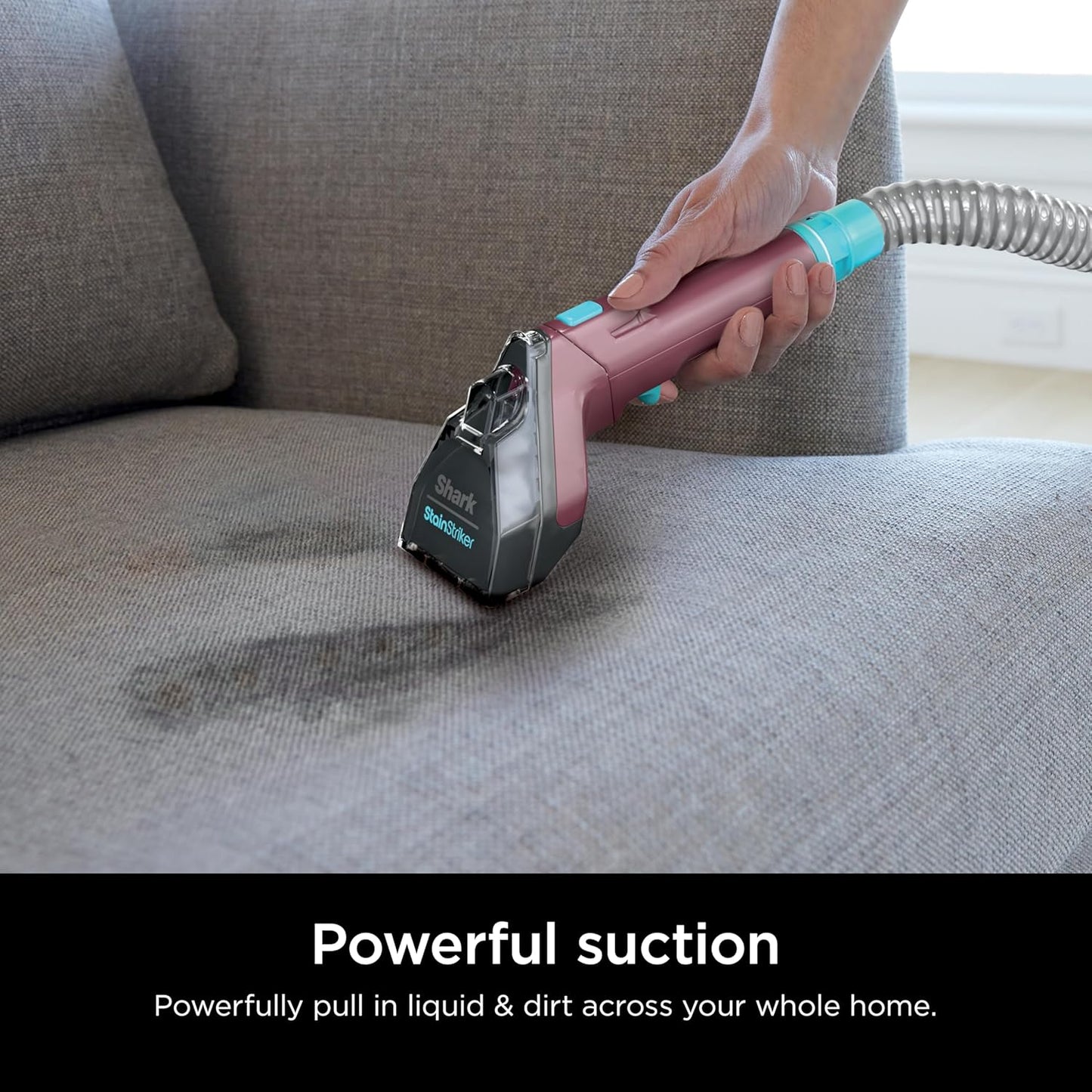 Shark Carpet Cleaner Machine - Portable Upholstery Stain Remover with 2 Solutions & 3 Tools | Ideal for Pet Hair, Burgundy